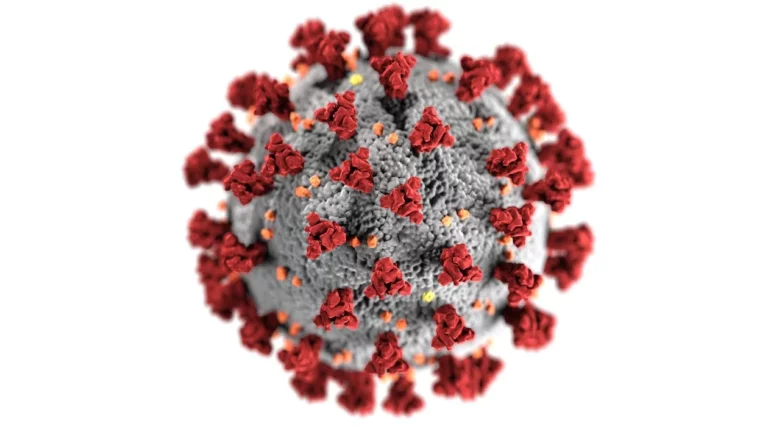 Vaccinazione anti-COVID 2026-2027
